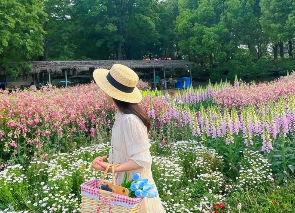 伴夏生村野花园