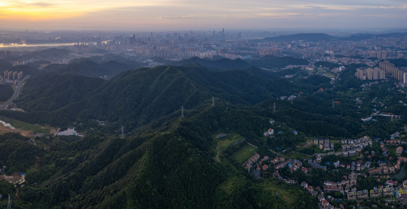 谷山森林秘境