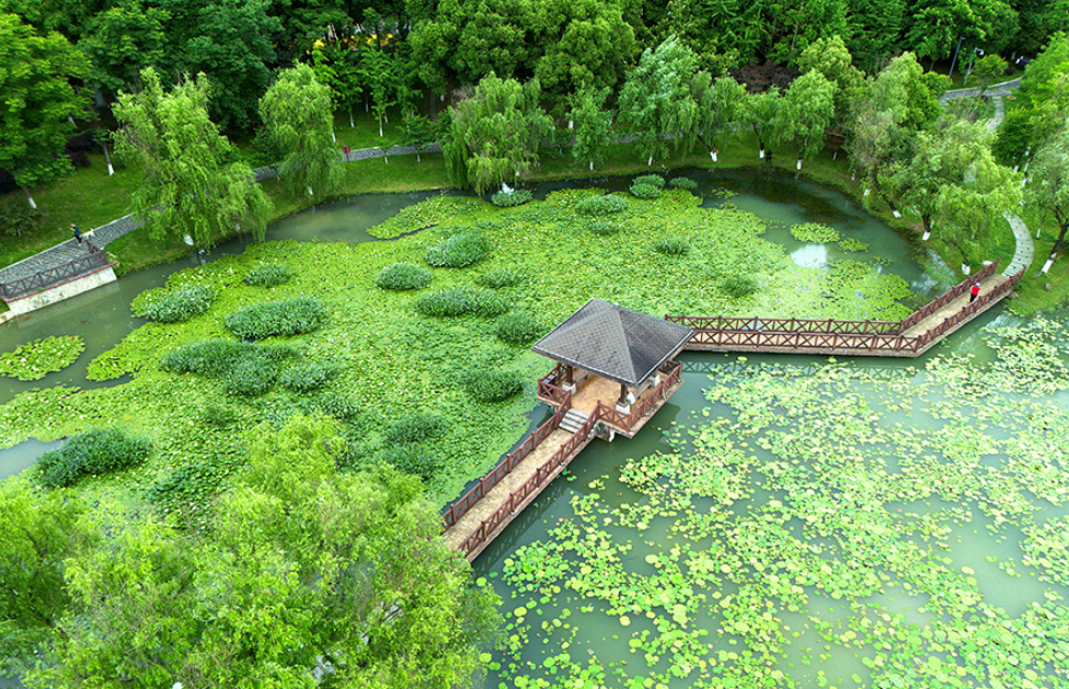 桃子湖湿地公园 图2