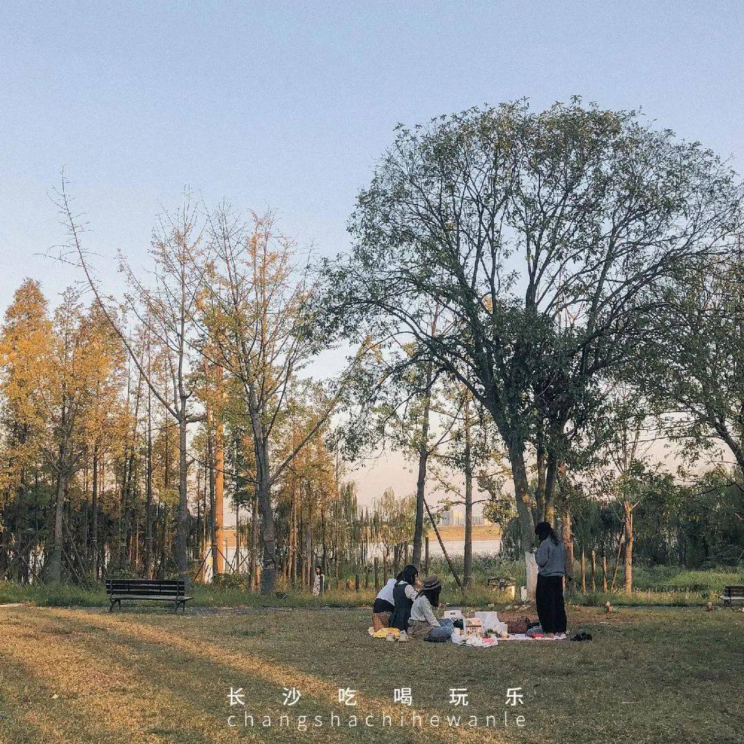 巴溪洲 图4