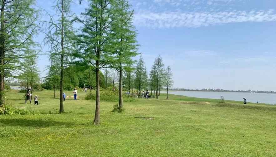 西围子 图2