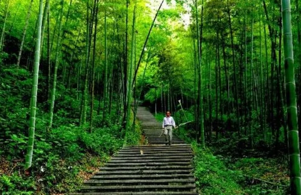 乌山森林公园 图2
