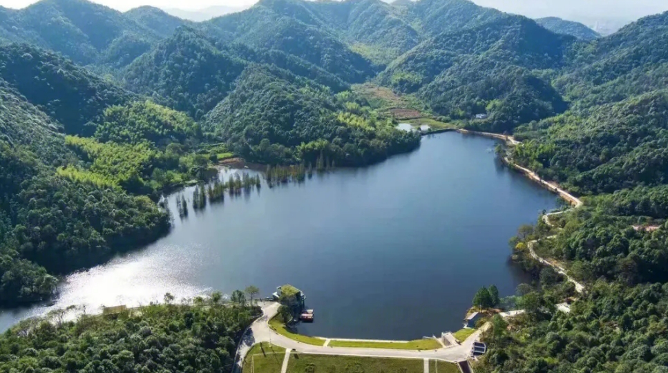 象鼻窝森林公园 图2