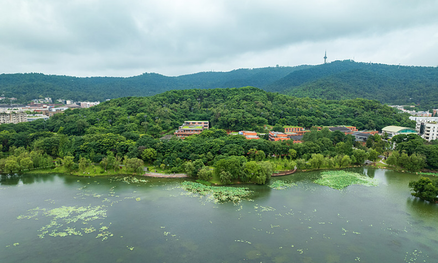 桃子湖湿地公园