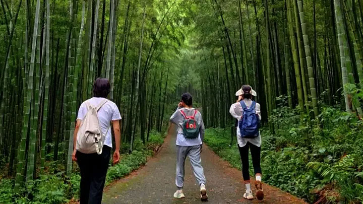 乌山森林公园