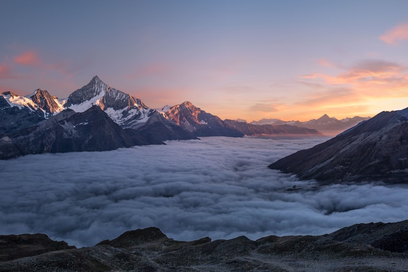桃子湖湿地公园 图2